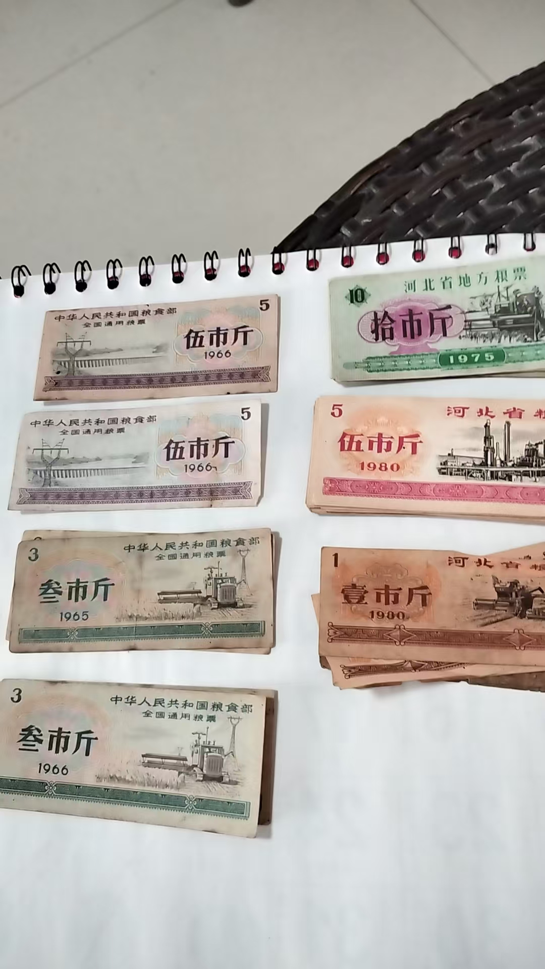 55ebdb83-36d6-4371-8e0e-1058e8804e46